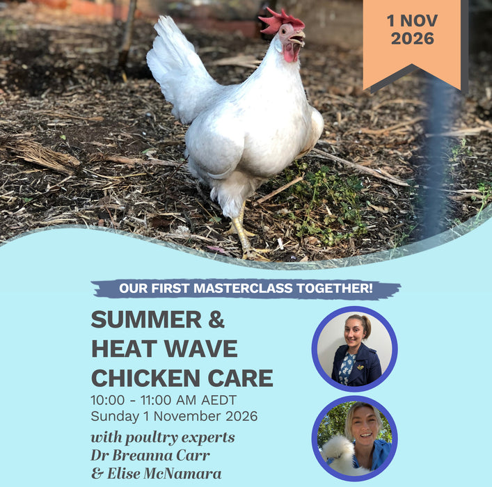 Summer & Heatwave Chicken Care masterclass 1 November 2026