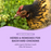 Herbs & remedies for backyard chickens