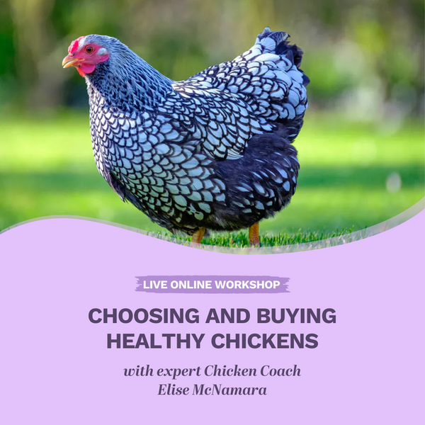A-Z Natural Chicken Care online classes - 7 July to 2 October 2022