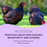Practical backyard chicken biosecurity, hygiene and husbandry