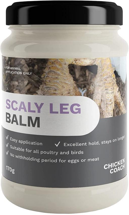 Natural treatment for scaly leg mites on chickens