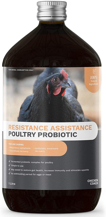 Best probiotics for chickens