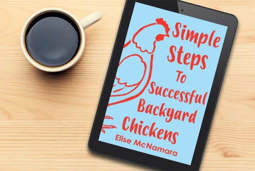 Best Chicken eBook - Simple Steps to Successful Backyard Chickens