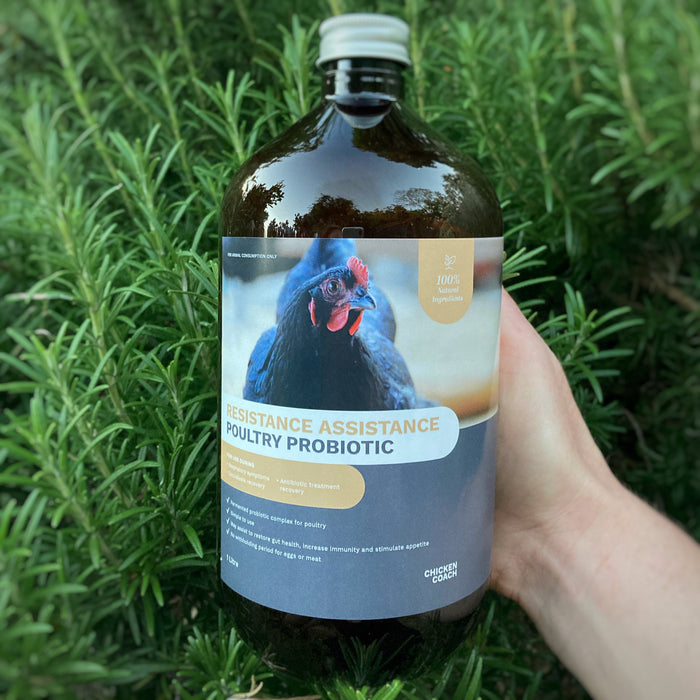 Vet quality probiotics for chickens